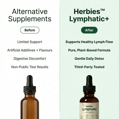 Herbies - Lymphatic+