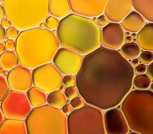 Oregano Oil Extract